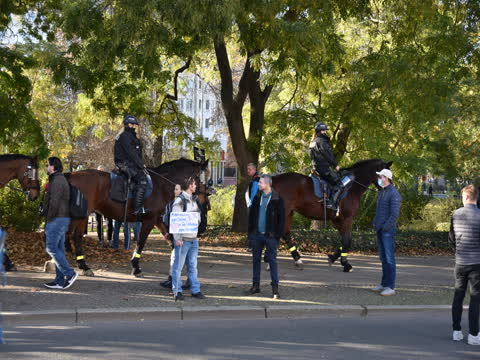 'Masks protect against covid as underwear against diarrhea.'