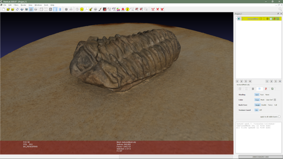 the model in meshlab