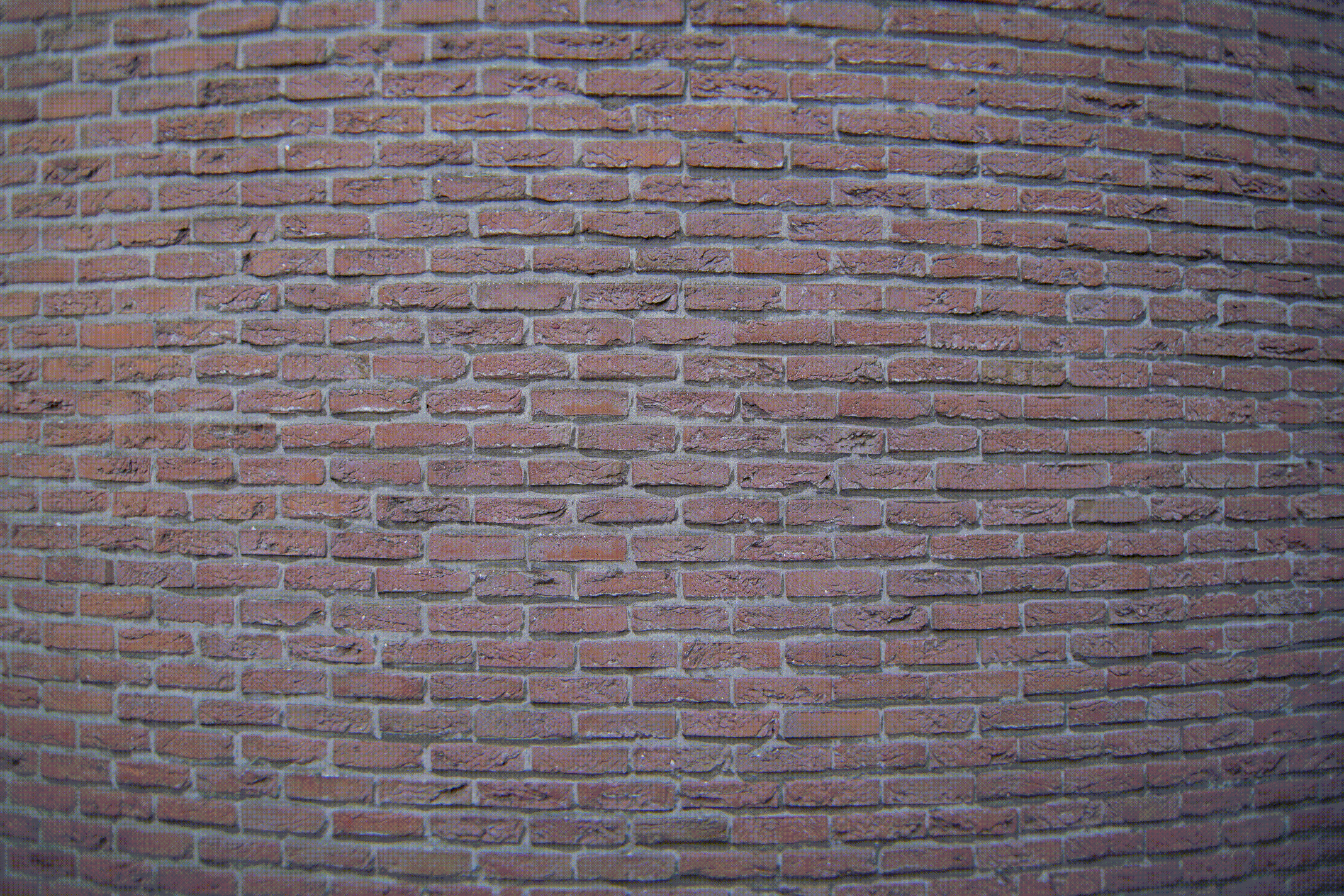 Another brick wall.